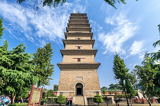 bạch thủ lô chuẩn