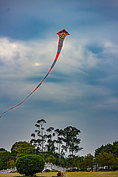 lô đẹp hôm nay