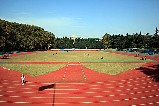 soi câu 88