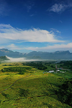 soi cau 29
