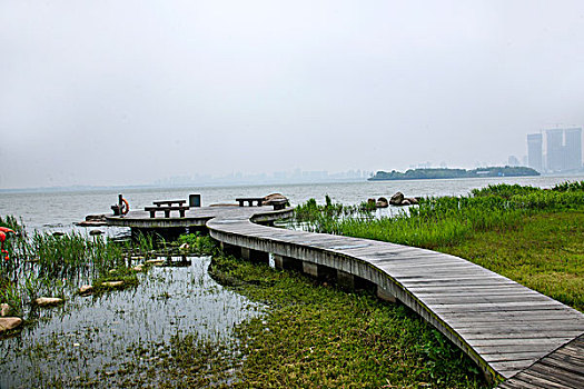 soi cầu lo