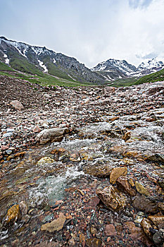 cau bach thu 888