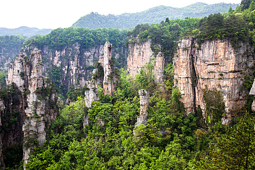 soi cau bach kim mb