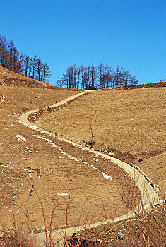 soi câu 2888