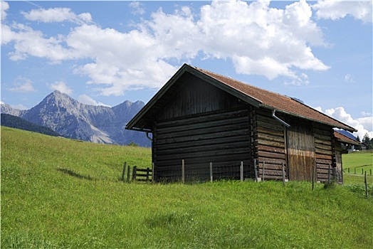 bach thu lo