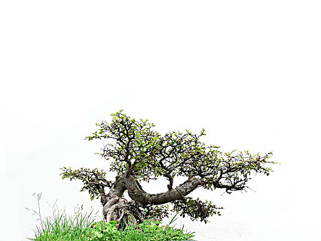 xổ số long an 30 ngày