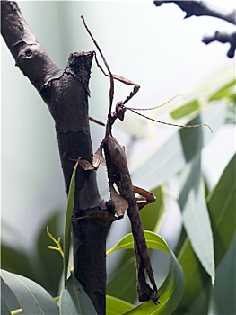 kqxs đà nẵng