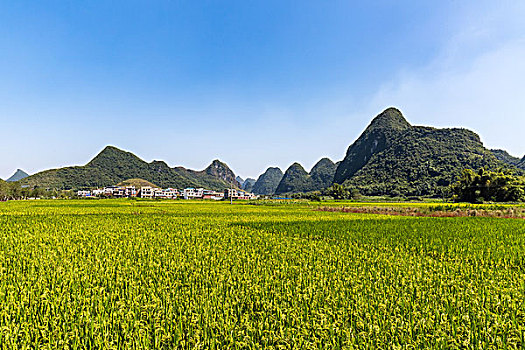 xổ số miền bắc hàng tuần