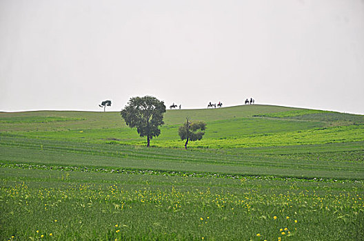 kqxs bac lieu