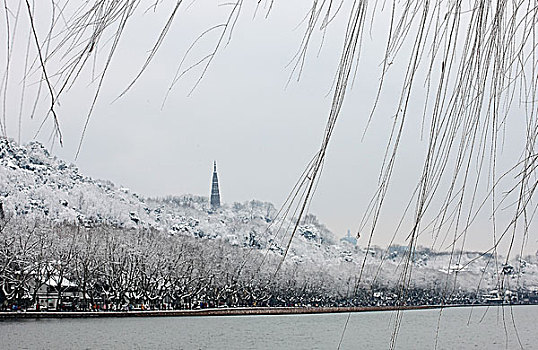 bach thu mien bac