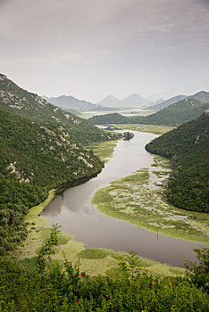 lo bach thu khung 2 ngay