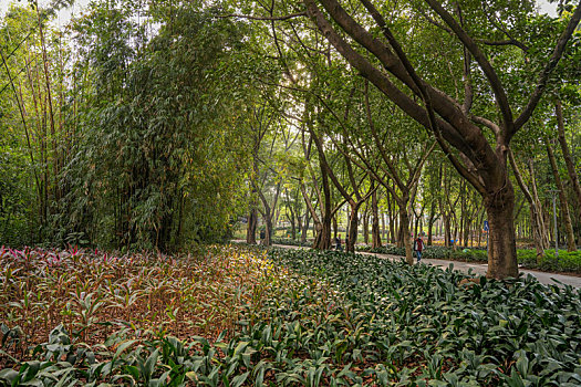 lo đề 88