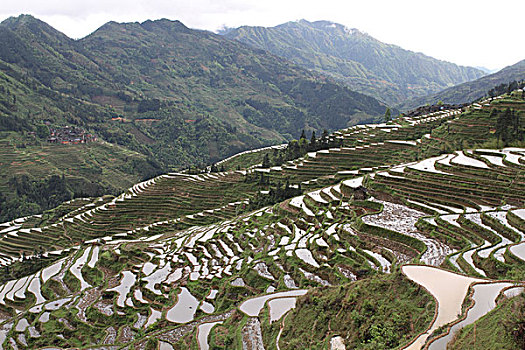du doan xs quang binh