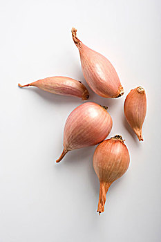 xổ số thái bình