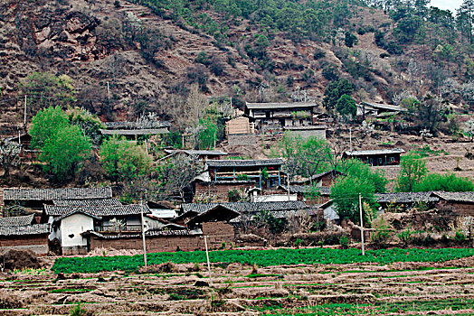 cau mien phi