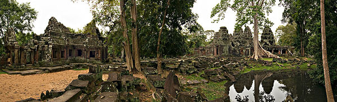 soi cau theo tuan