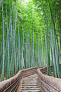 xổ số kon tum