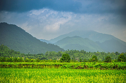 xổ số điện toán