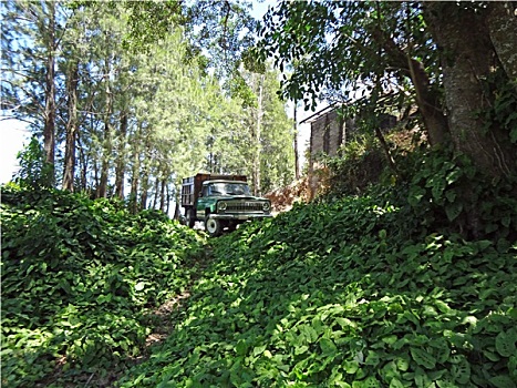 xổ số 30 ngày miền bắc
