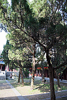 xổ số dự đoán