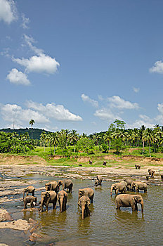 soi cầu 39
