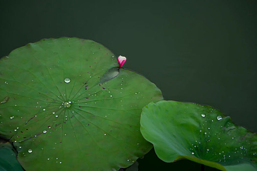 xsmn thu tu