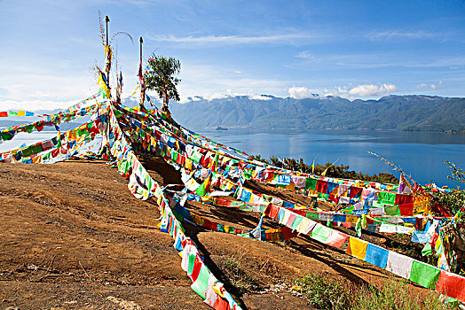 xuantocdo miền bắc