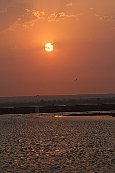 lô tô bạch thủ