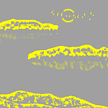 soicau247
