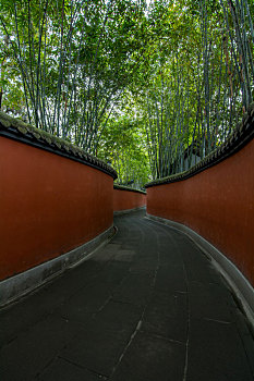 xs ho chi minh