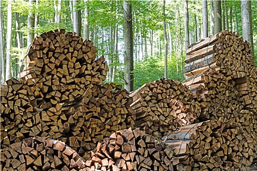 xổ số miền bắc ngày thứ tư