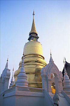 soi cau xo so dong nai