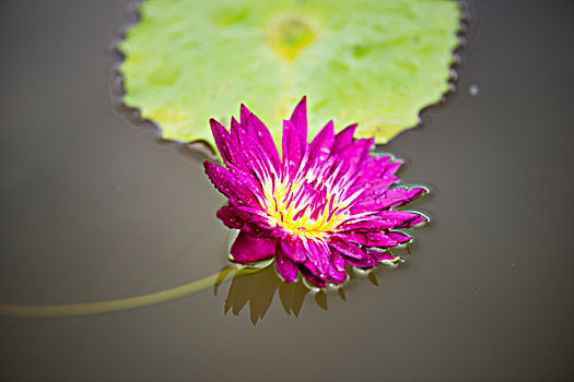 bình luận xsmb