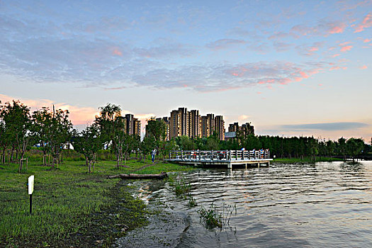 xs binhdinh