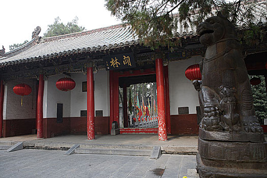 soi câu 888