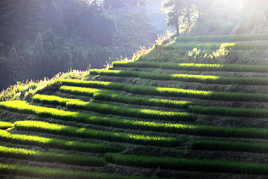 xo so soc trang hom nay