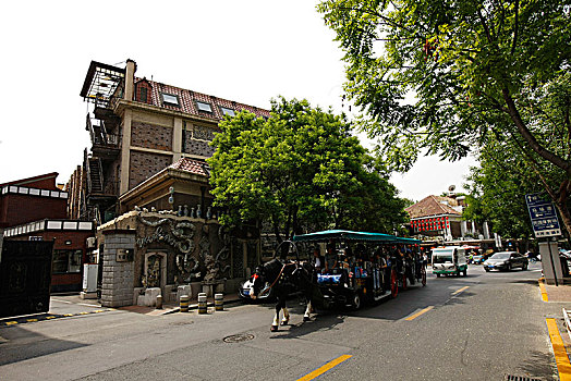 soi cau lo rong bach kim
