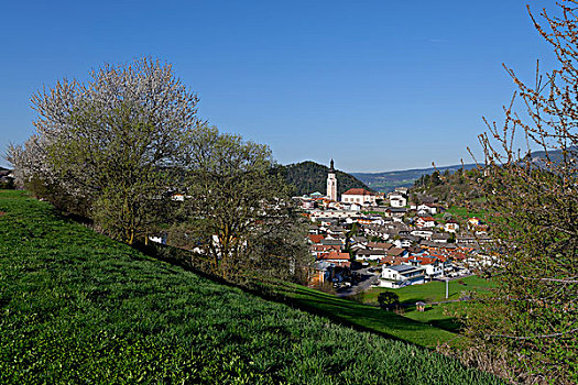 du doan xsvl wap
