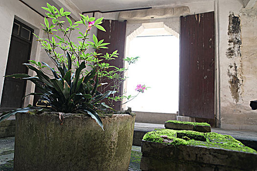 bạch thủ ngày hôm nay