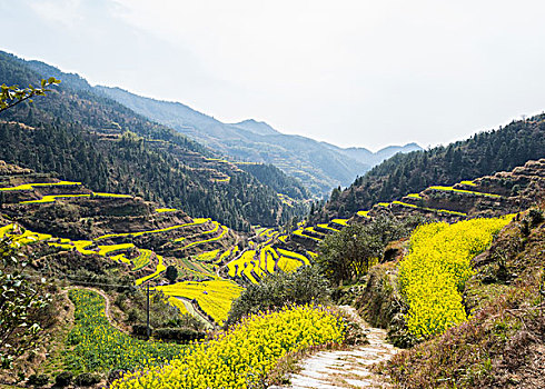 kqxsmb soi cau thong ke