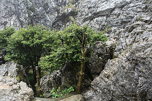 phân tích lô đề hôm nay