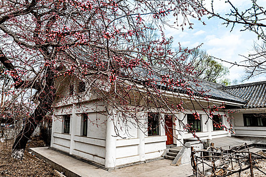 chơi lô trượt