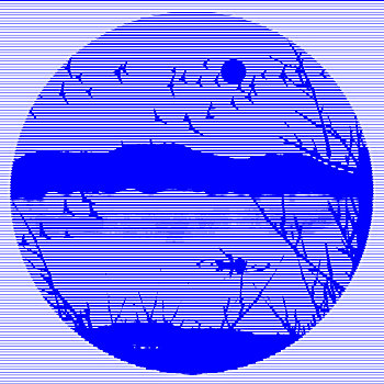 soi cau 2888