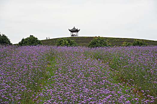 dự đoán xổ số thần tài