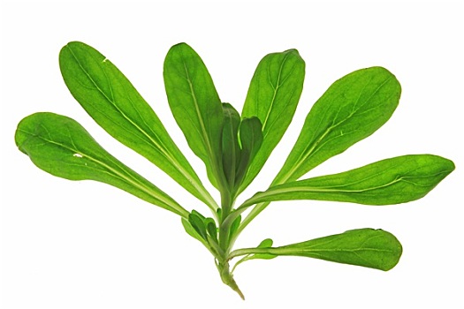 xổ số miền bắc xổ số miền bắc xổ số miền bắc