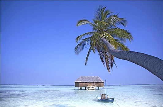 soi cau xo so phu yen