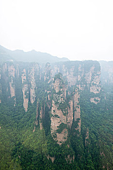 bach thu khung 3 ngay