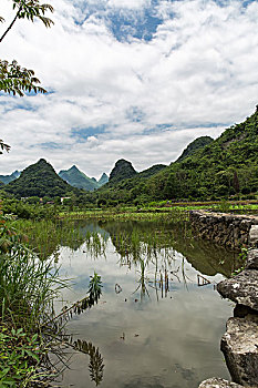 soi cau 8746