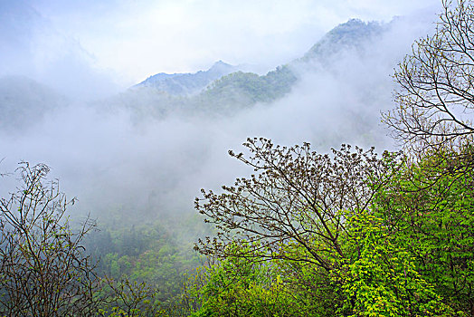 soicau lode chuan