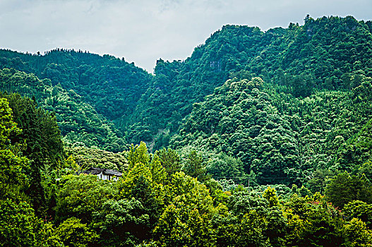 soi cầu miền nam ngày mai